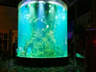 چین سفارشی ارزان فوق العاده بزرگ دور PMMA شیشه ای آکواریوم پاک مخازن ماهی اکریلیک سیلندر
