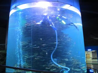 مخزن ماهی بزرگ سیلندر اکریلیک را برای آکواریوم یا پارک اقیانوس پاک کنید